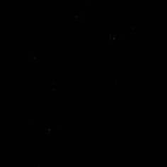 COLOR NEGRO CH 